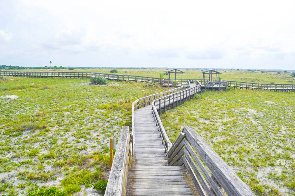 New_Smyrna_Beach_Sand (1)